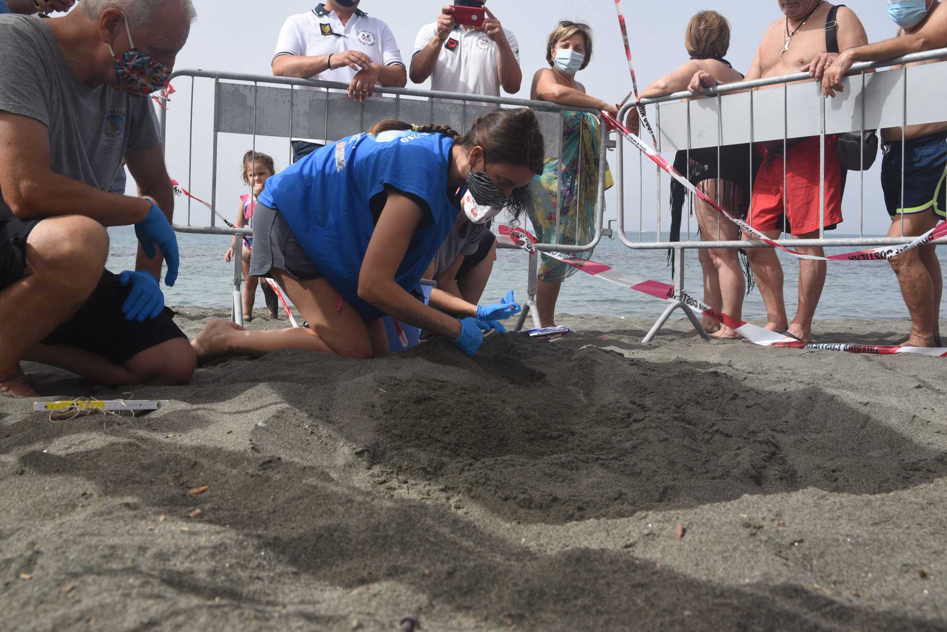 Una tartaruga marina deposita le sue uova a Ostia